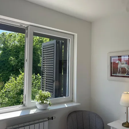 Masha Dreamhome Apart Апартаменты *